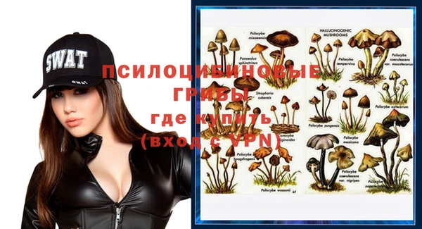 винт Алзамай